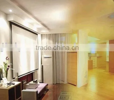 100inch Projection Screen
