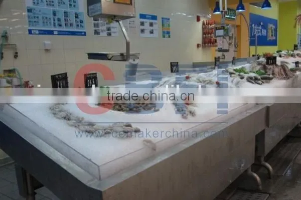 CBFI Industrial Flake Ice Making Machine Manufacturer photo-6