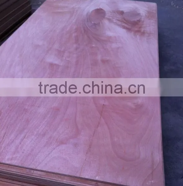 Plywood for Furniture Usage 4x8ft/6x9ft photo-5