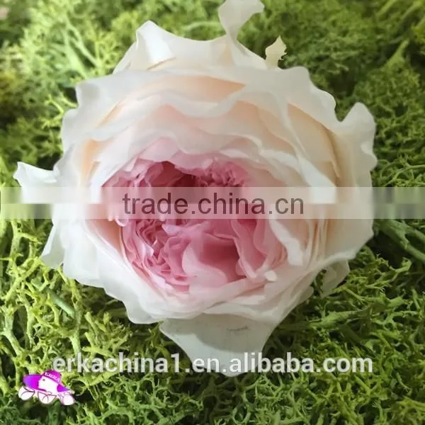 Wholesale Preserved Roses Preserved Flowers Dried Flowers Austin Rose photo-2