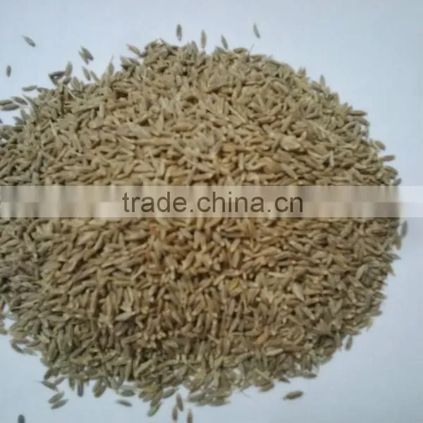 Best Quality 99% Purity Cumin Seeds From India photo-5