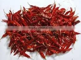 Indian Red Chily photo-2