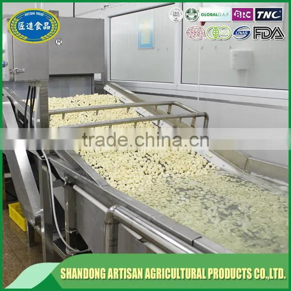 Fresh Peeled Garlic Bulk, Export to Europe photo-5