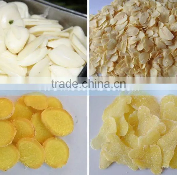 Hot Sale Ginger Garlic Slicer - 200 Kg / H, TT-SLC200 for Ginger Garlic Slicer photo-2