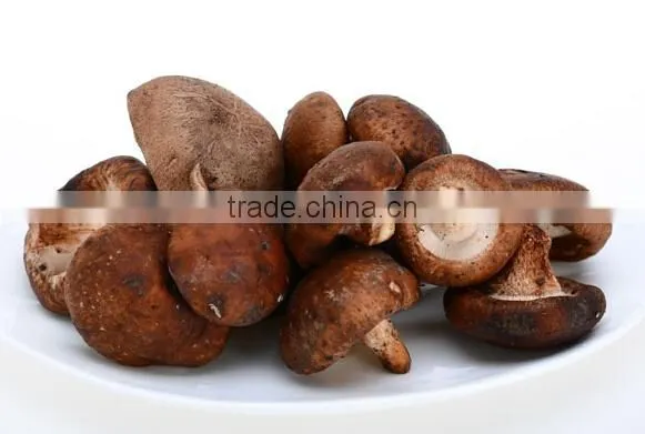 Hot Sale Log White Flower Mushroom / Dry Shiitake /hot Sale Dried Mushroom photo-5