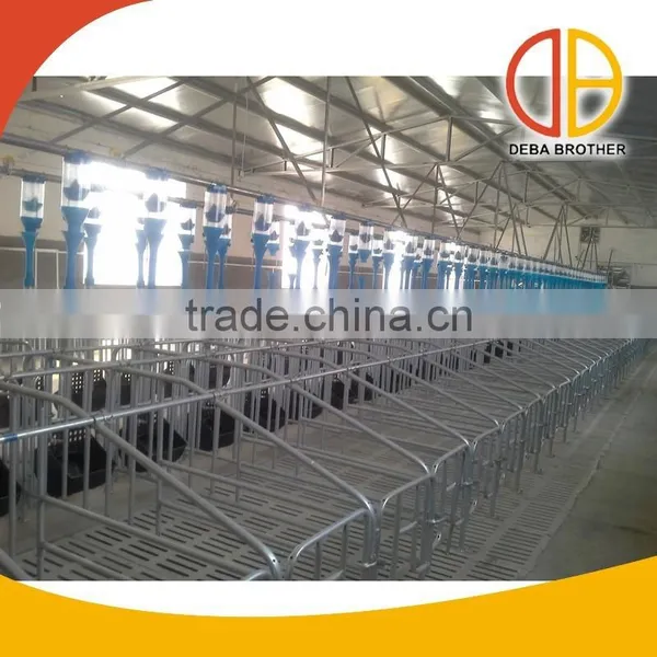 New Promotion Poultry Automatic Feeding System photo-4