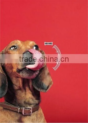Pellet Food Machine photo-3