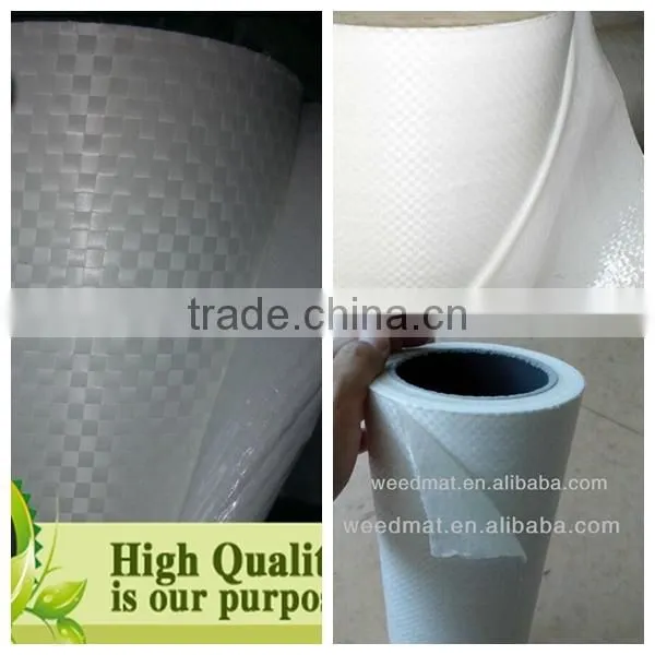 Milky White PE Mirror Safety Backing Film photo-2