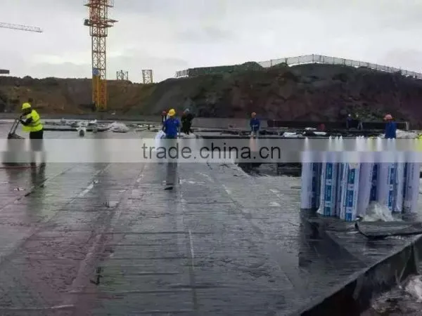 Self Adhesive Roofing Basement Waterproof Membrane photo-3