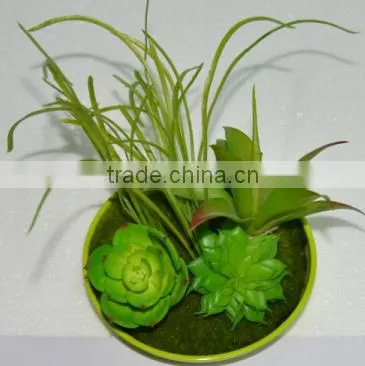 SJ0409032 Indoor Wall Hanging Mini Wall Art Decoration photo-2