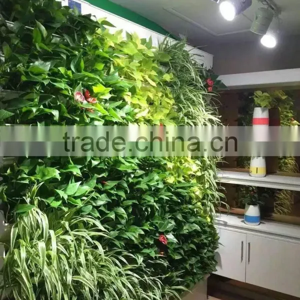 Green Wall System Vertical Hanging Garden Grass Wall With Planter and ECO Green Wall photo-6