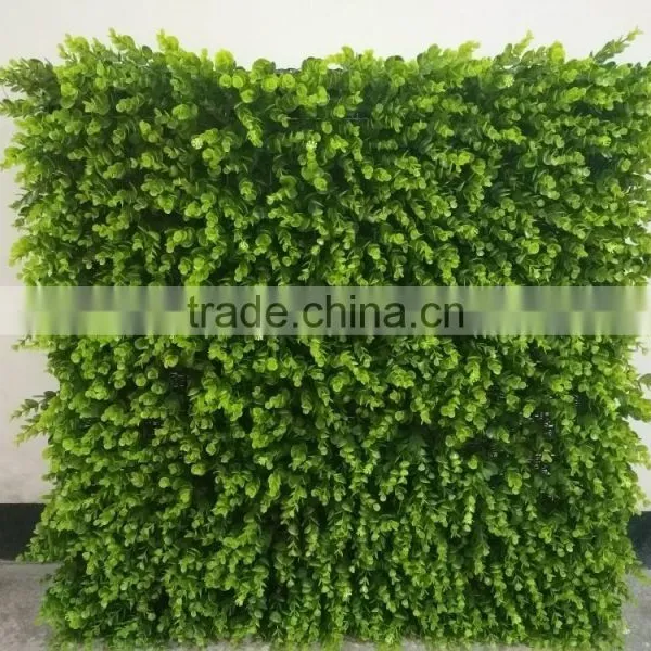 Ornamental Plants Wall photo-4