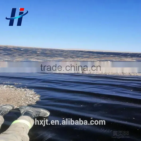 Irrigation Lakes/Artificial Lake Waterproof Seepage Control HDPE Geomembrane Liner Price photo-5