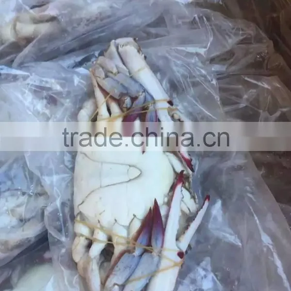 Frozen Blue Swimming Crab photo-3