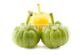 Best Quality GARCINIA CAMBOGIA EXTRACT photo-2