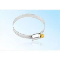 DIN3017 Hose Clamp Worm Type
