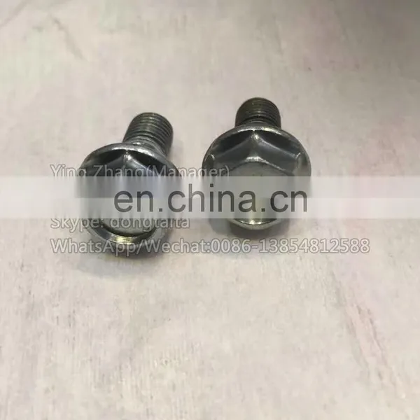 095000-6353 Return Oil Screw photo-3