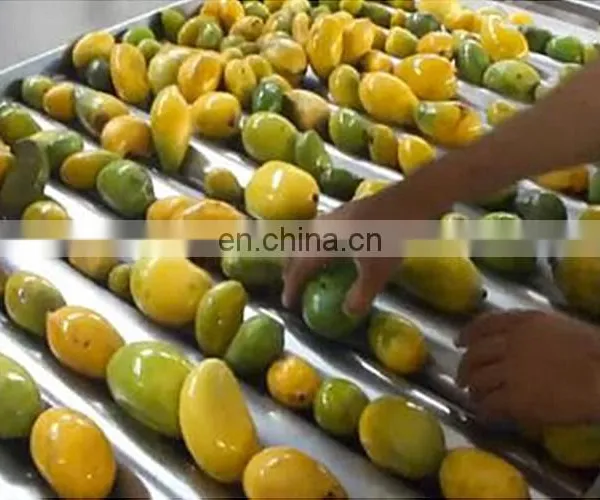 Mango Pulp Full Line Machine AutoOrange Mango Juice Liquid Washing and Filling Machine Line photo-3