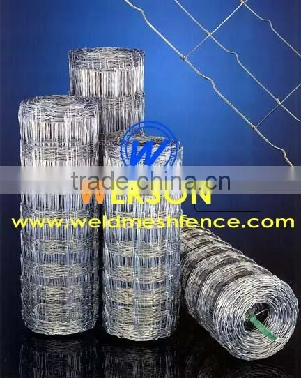 Sheep Fencing