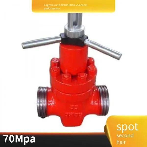 Langfeng Customized 4-inch 1502fm Mud Valve, Petroleum Drilling and Production Machinery Parts, Forged as a Whole photo-4