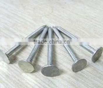 First-class Clout Nails With Competitive Price photo-4