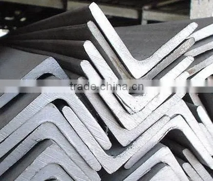 Stainless Steel Angle