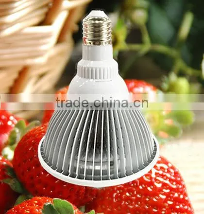 Hot Selling High Quality Standard Manufacturer in China Factory Price 12W LED Plant Grow Light for Strawberry photo-4