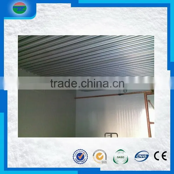 New Products Best Choice Low Temperature Cold Room/cold Storage for Fish photo-3