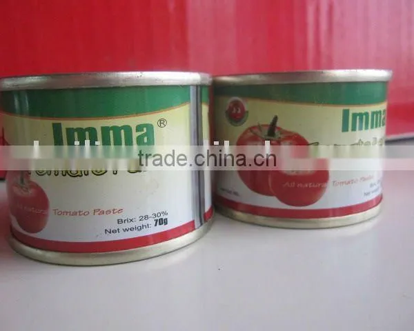 the Best Quality 425g Canned Tomato Paste or Ketchup