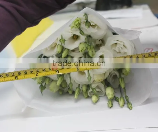 Good Smell Hotsell Provide High Quality Fresh Eustoma photo-3