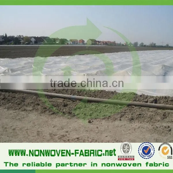 Low Price Spunbonded Nonwoven Fabric for Agricultural Cover photo-4