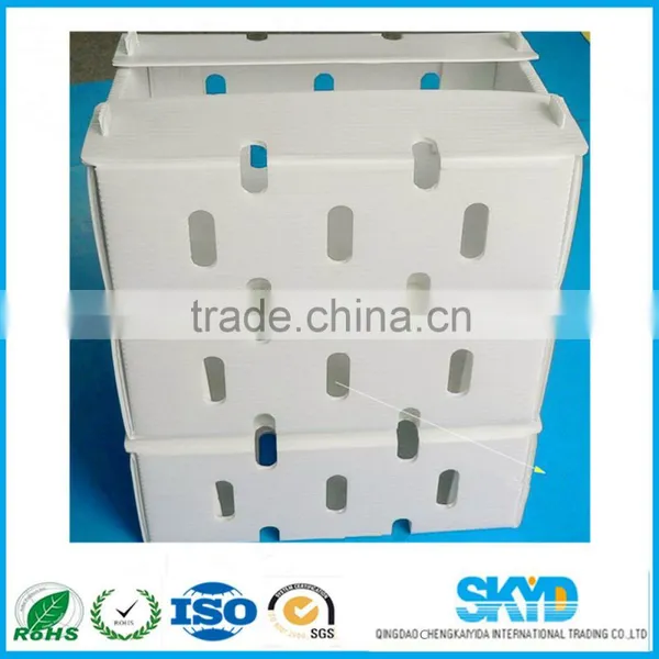 Fresh Blueberry Corrugated Plastic Shipping Container photo-6
