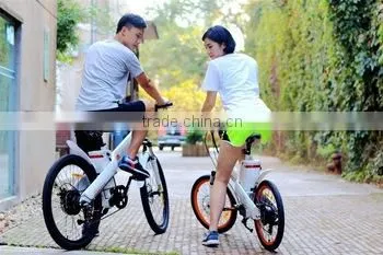 Seagull,highly Appreciated 26 Inch New Experience 500watt Ebike photo-5