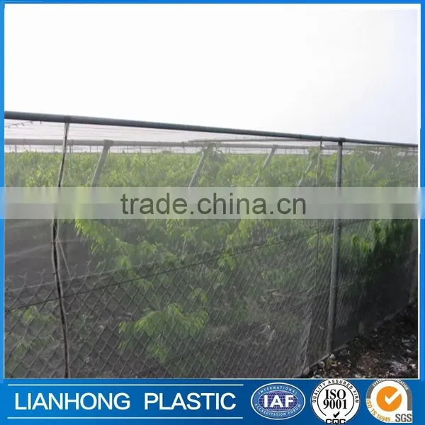 Factory Price White Color Apple Tree Anti Hail Net, 45g 50g 55g 60g 70g/m2 Anti Hail Net With UV Protection in Rolls photo-2