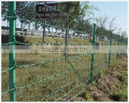 Hot Dipped Galvanized and Powder Coating Barbed Wire Hot Sale photo-4