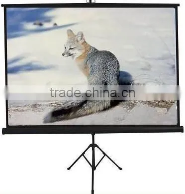 100"(16:9) Remote Electric Wall Mount Projector Screen photo-5