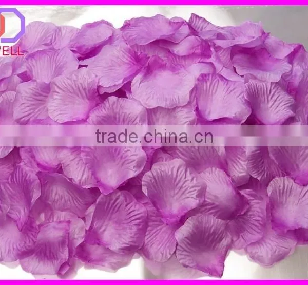 Preserved Natural Rose Petals photo-2
