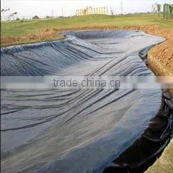 Good Quality Best Price Fish Farm Pond Liner HDPE Geomembrane photo-3