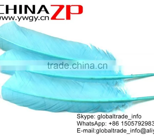 CHINAZP Feather Exporting Good Quality Dyed Light Blue Wild Solid Color Turkey Pointers Wing Quill Feathers photo-3