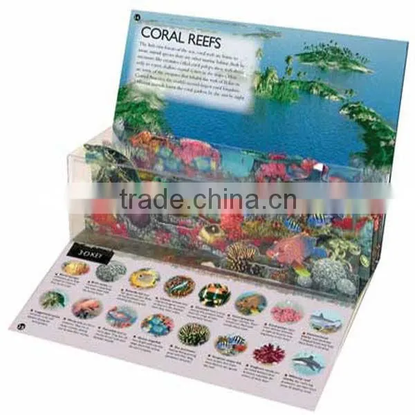 3D Books Printing,3D Books With CMYK Printing,3D Books for Children photo-2