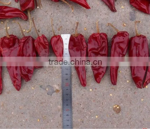 Red Dried Chilli photo-2