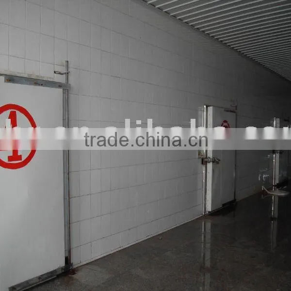 Quick-freezing Cold Storage Equipment