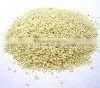 Black Sesame Seeds photo-2