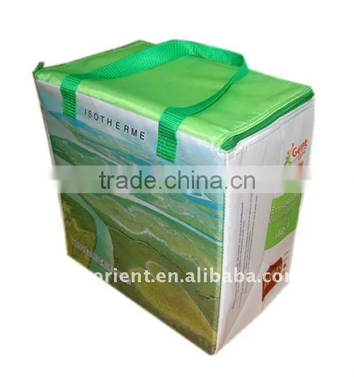 Cooler Bag