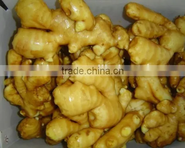 All Year Around Supply Fresh Ginger photo-4