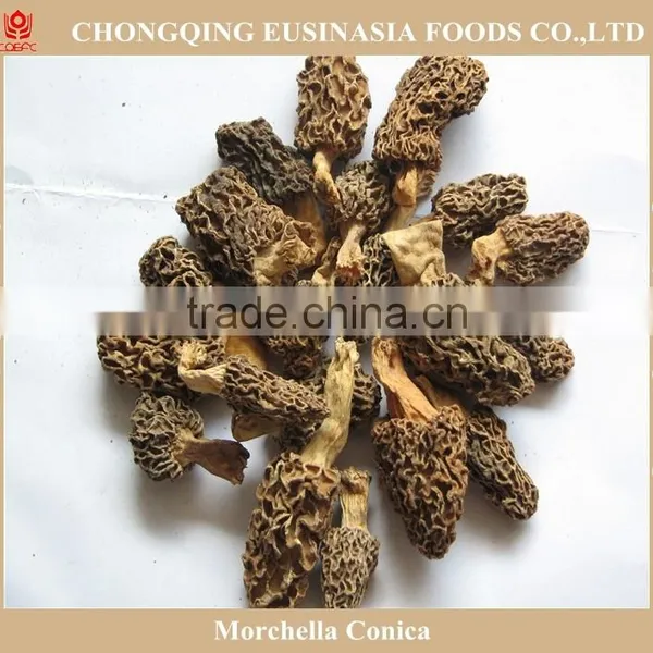 Market Prices for Wild Mushroom,morel Mushroom Price photo-4