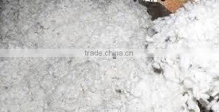 COTTON J34 photo-3