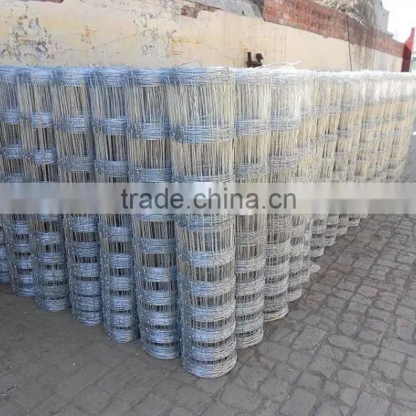 Grassland Field Fence/ Hot Galvanzied Hinge Joint Knotted Animal Field Fencing Factory photo-2