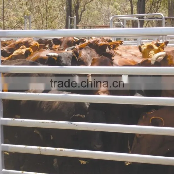 Cattle Handling,Cattle Gate,Corral Panels Manufacture photo-2