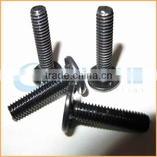 Factory Sales Unique Nonstandard Stainless Welding Screw photo-3